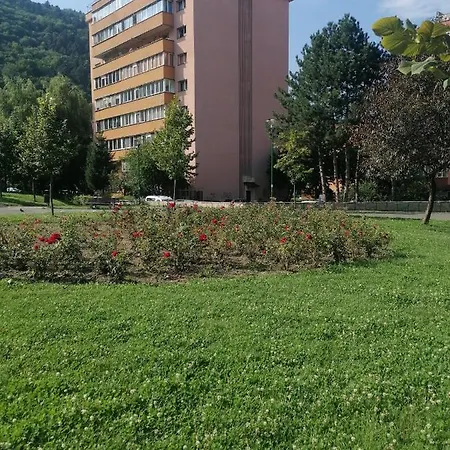 Racadau Parc Brasov